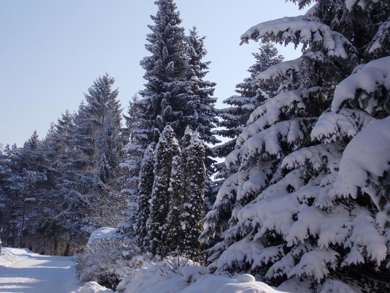 Oko * Zlatibor